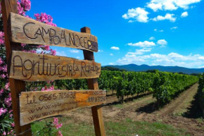Agriturismo La Rondine